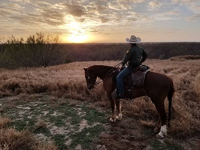 Border patrol officer on horseback in Texas